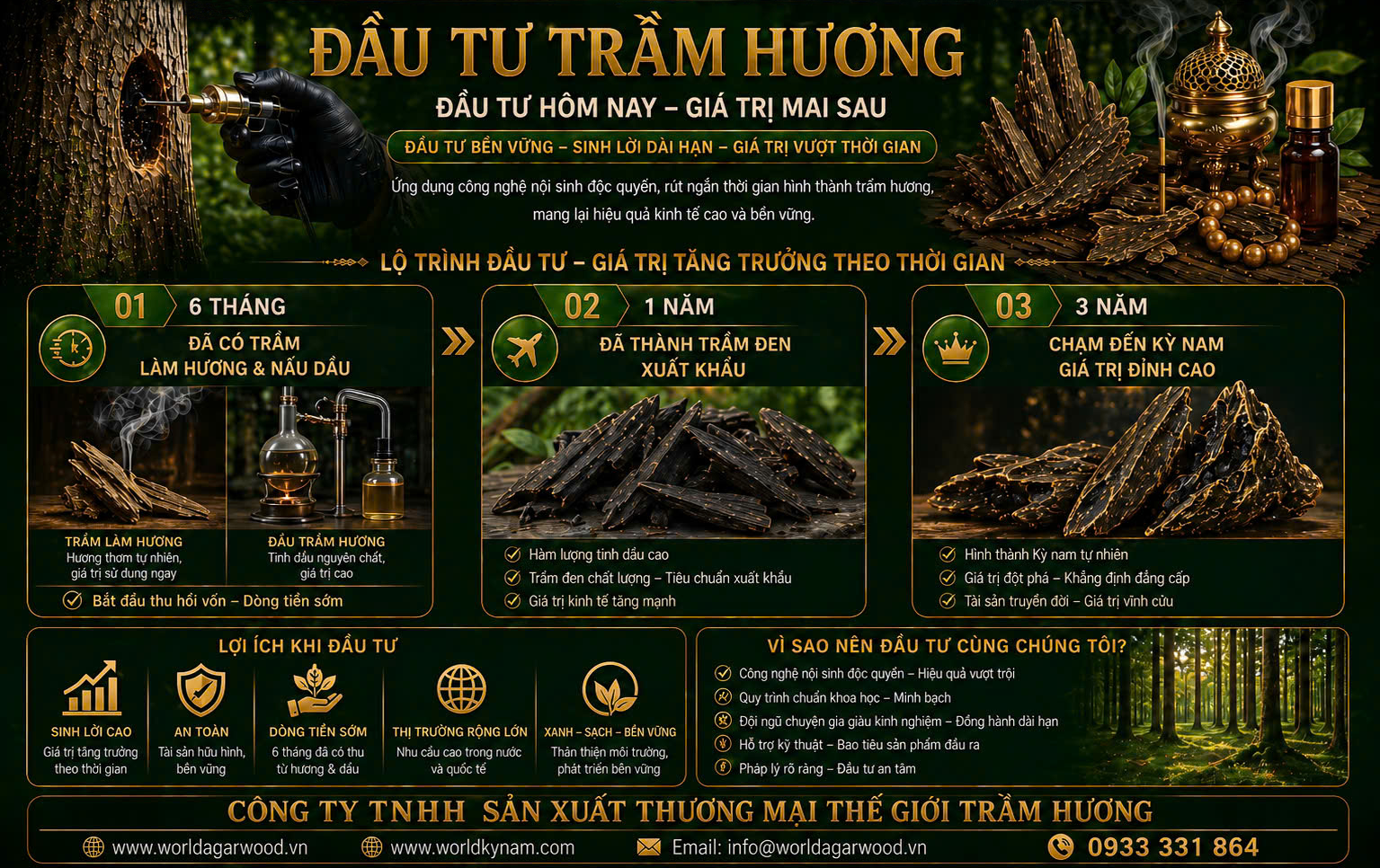 Đầu tư